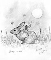 Bunny Rider